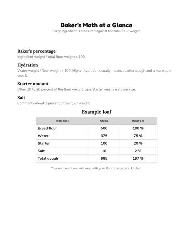 Inside Sourdough Baking Log, page preview 1